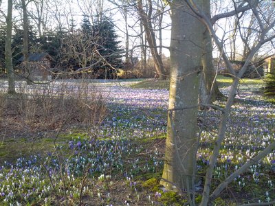 IMG_20160320_171756.jpg
