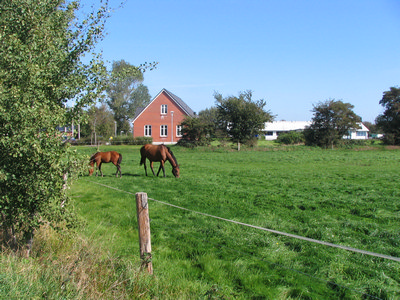 IMG_4385.jpg