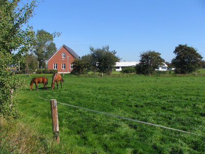 STE_4380.jpg
