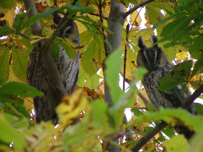 dscf5604.jpg