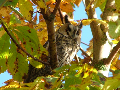 dscf5615.jpg