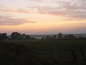 IMG_2090.jpg