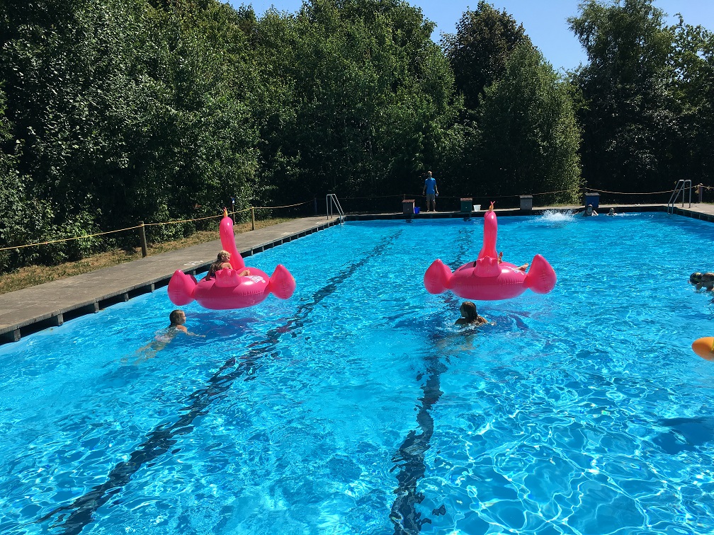 IMG 3212