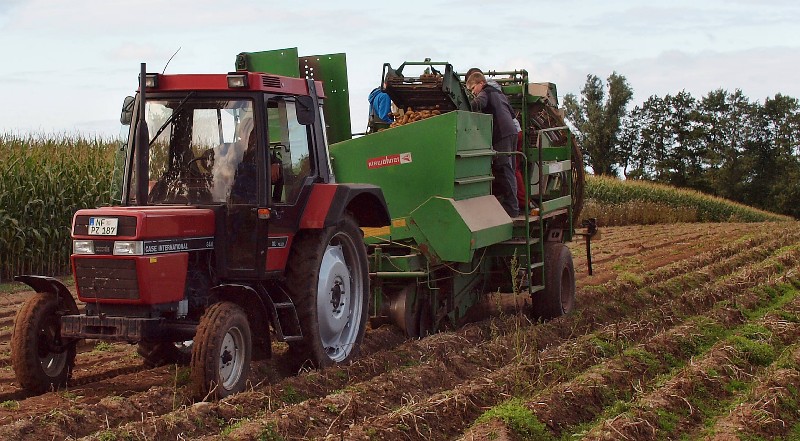 small 1 Kartoffelernte2015